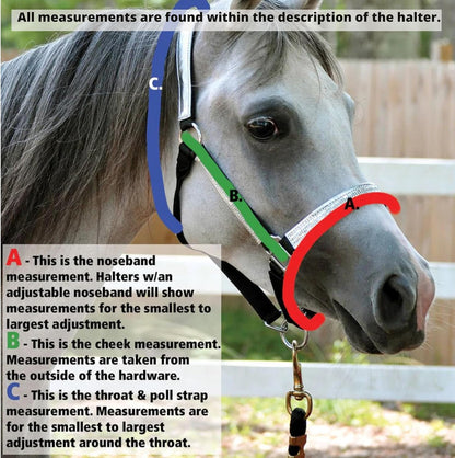 Jeffers Equine Mini Horse Halter – 3/4" Nylon Adjustable Halter for Miniature Horses, Ponies, Under