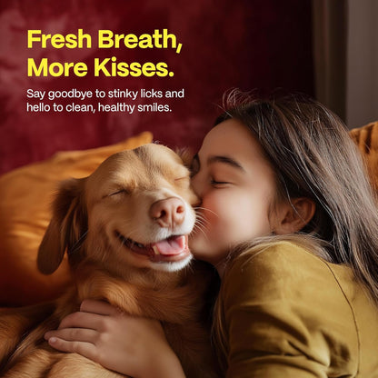 DOCO Dog Teeth Cleaning Wipes Dental Finger Wipes for Cats & Dogs Remove Plaque & Tartar, Freshen
