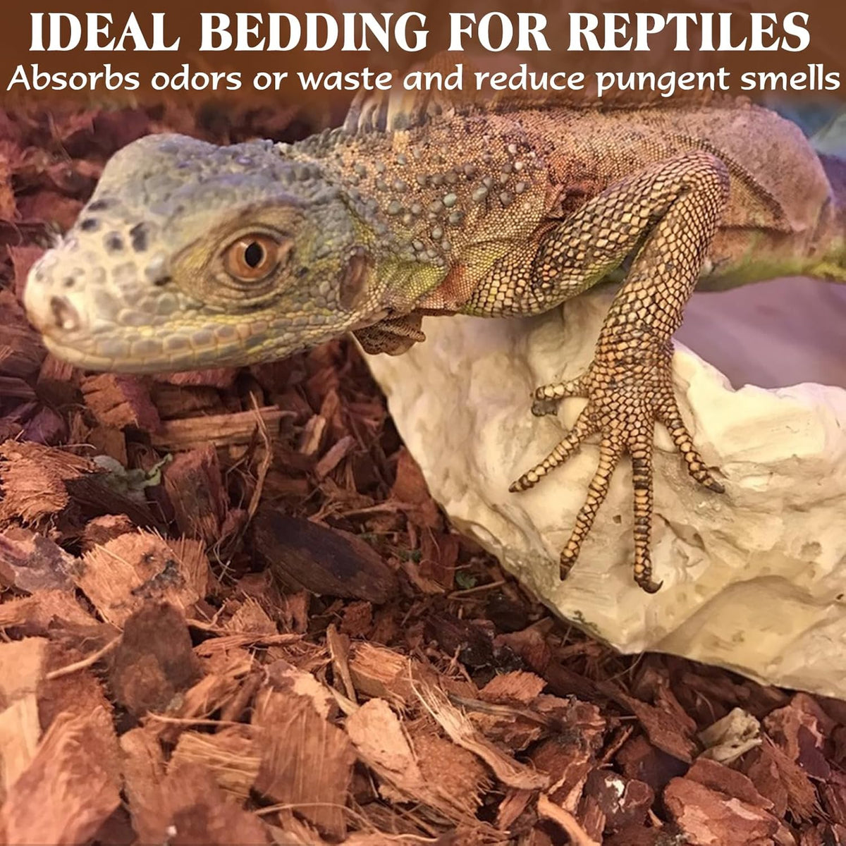 ZeeDix 10LB Coco Fiber Chips Substrate for Reptiles, 72 Quart Coconut Fiber Husk Substrate Mulch