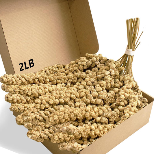 Jmxu's 2LB Spray Millet Treat for Birds Parakeets, Natural Sun-Dried Birds Millet for Cockatiel