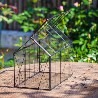 NCYP Geometric Glass Terrarium with Lid for Succulent, Small Cactus - Handmade Clear Closed House