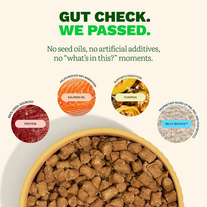 Get Joy Gut Health Fresh Freeze Dried Raw Meal, Beef Recipe, 32 Ounce Bag, Dog Food for Dogs of All