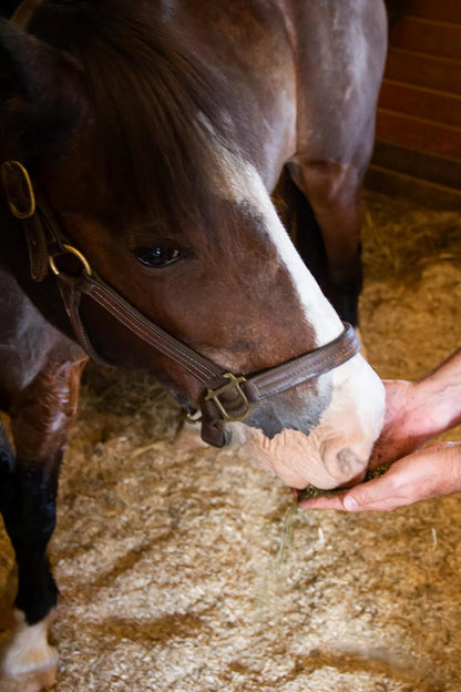 New Country Organics | Loyalty Senior Horse Pellets for Horses 15+ Years Old | Corn-Free and