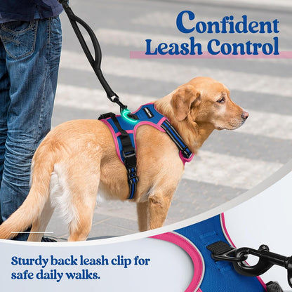 rabbitgoo Dog Harness No Pull with 2 Leash Clips, Adjustable Soft Padded, Reflective Oxford No