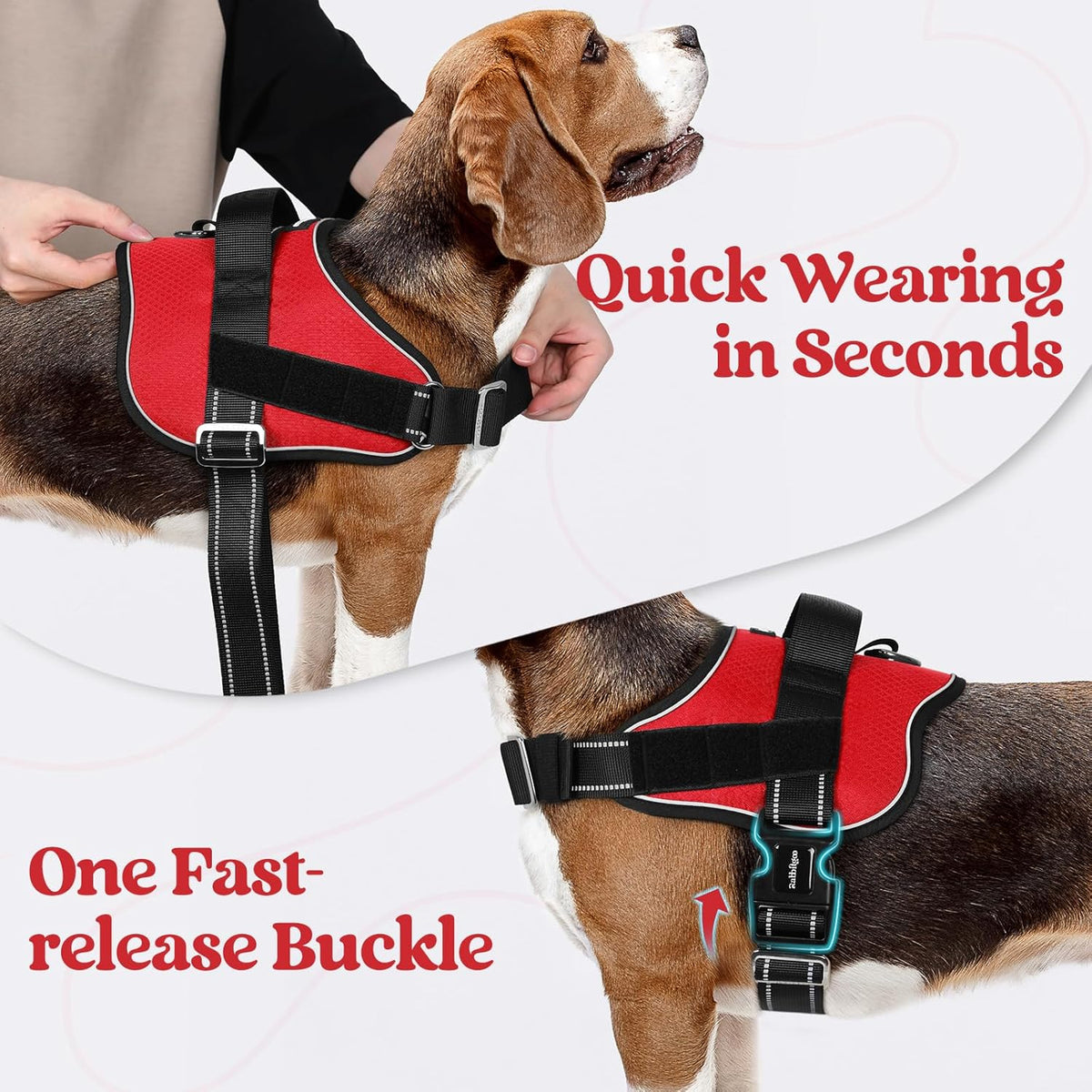 rabbitgoo Dog Harness for Small, Easy On Pet Vest with One Buckle, No Pull Adjustable Service