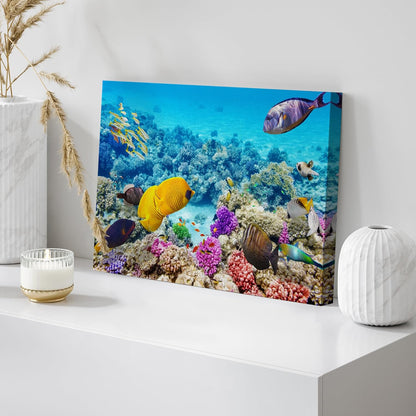 wall26 Canvas Print Wall Art Tropical Underwater Ocean Sea Fish Reef Nature Animals Photography