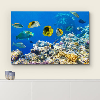wall26 Canvas Print Wall Art Tropical Island Ocean Sea Fish Coral Reef Nature Animals Photography