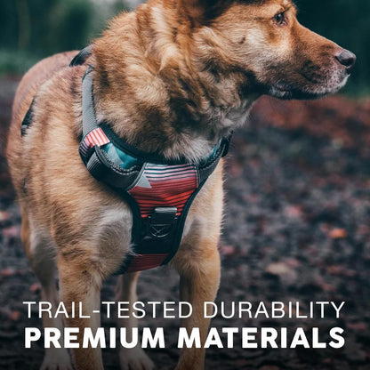 Embark Adventure Dog Harness, Reflective Trim No Pull Dog Harnesses for Small Sized Dogs - Military