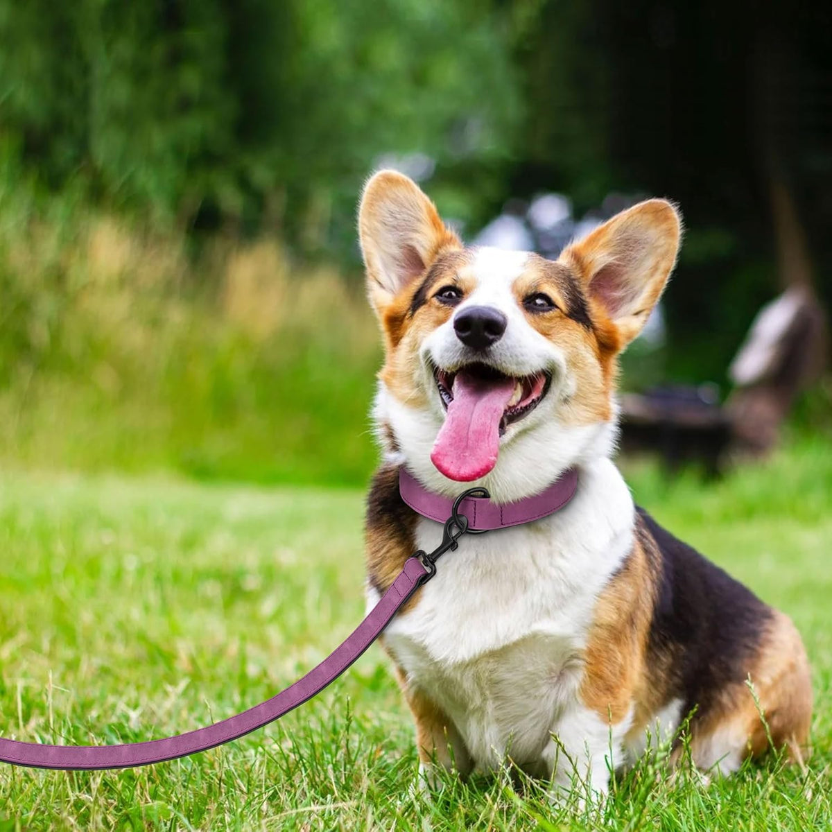 Didog Soft Padded Leather Dog Collar and Leash Set, Heavy Duty Dog Leash and Collar Set with Metal