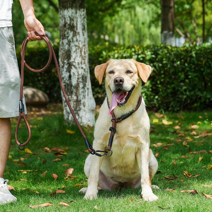 Rope Dog Leash with Two Handles, 6 Foot Heavy Duty Dog Leash with Aviation Aluminum Auto Locking