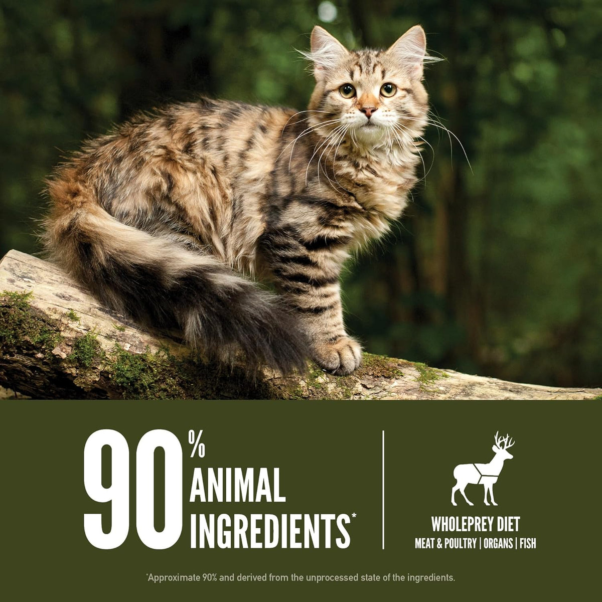 ORIJEN Grain Free High Protein Premium Dry Cat Food Tundra Recipe 4lb Bag