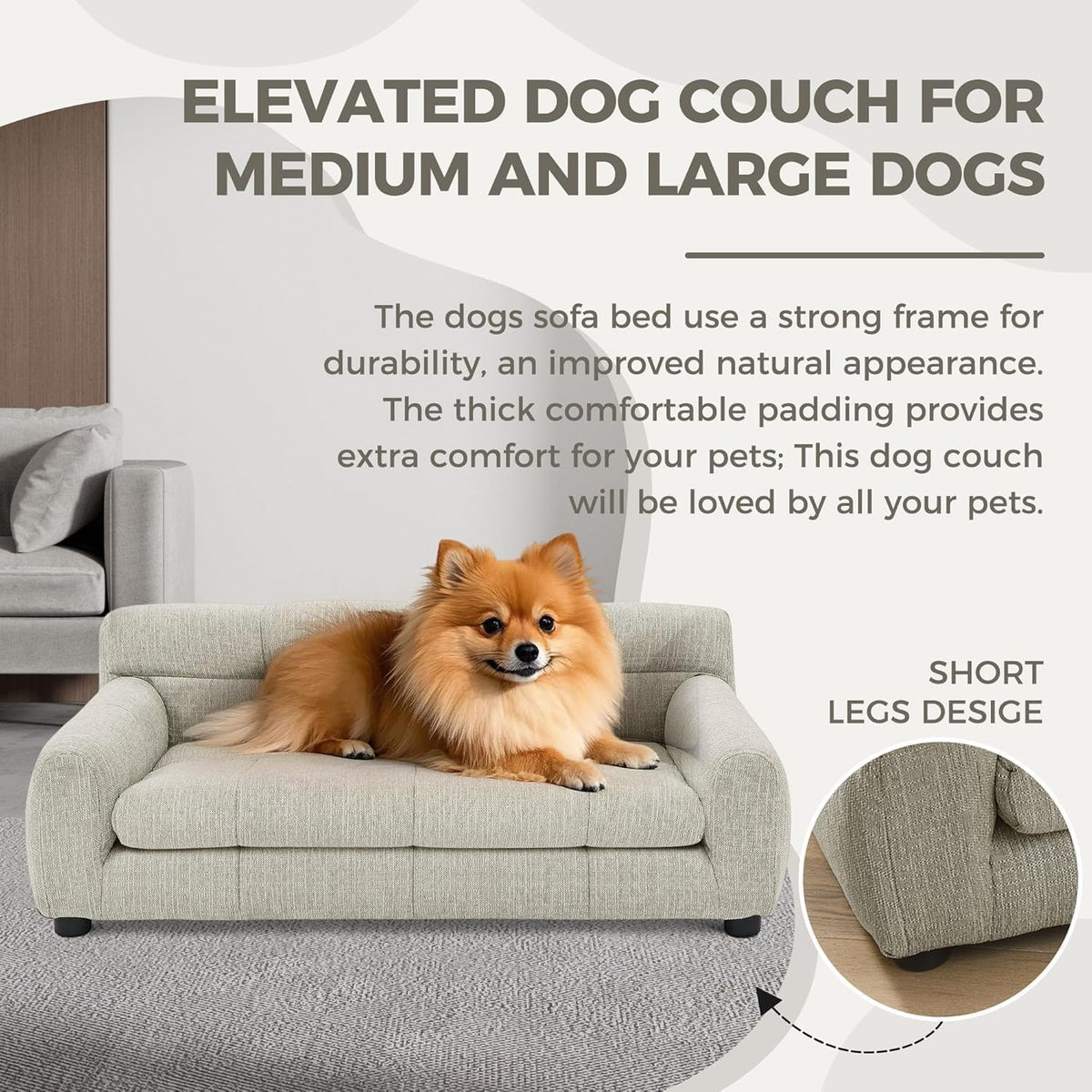Dog Couch Bed, Mini Sofa for Dogs with Backrest and Armrest, Durable Pet Sofa with Soft Foam
