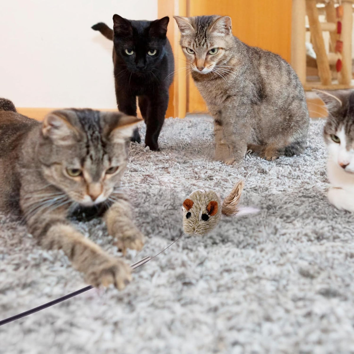 JXFUKAL Cat Feather Toy Refills, 6Pcs Simulation Bird Mouse Bee Worm Feather Cat Lures Wand