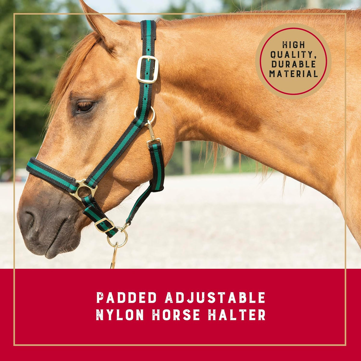 Weaver Leather Nylon Horse Halter, Padded and Adjustable, Chin and Throat Snap Hook Halters for