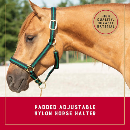Weaver Leather Nylon Horse Halter, Padded and Adjustable, Chin and Throat Snap Hook Halters for