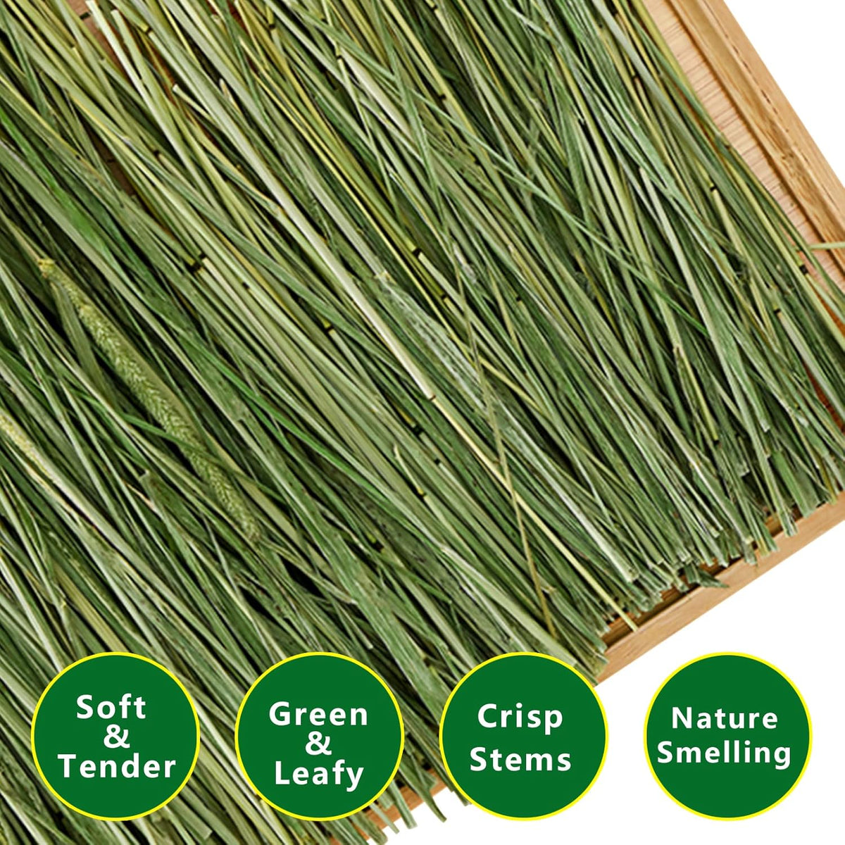 Timothy Hay Premium Hay for Rabbits Guinea Pig Chinchilla- Natural Fresh Hay Hand Selected 6.6LBS