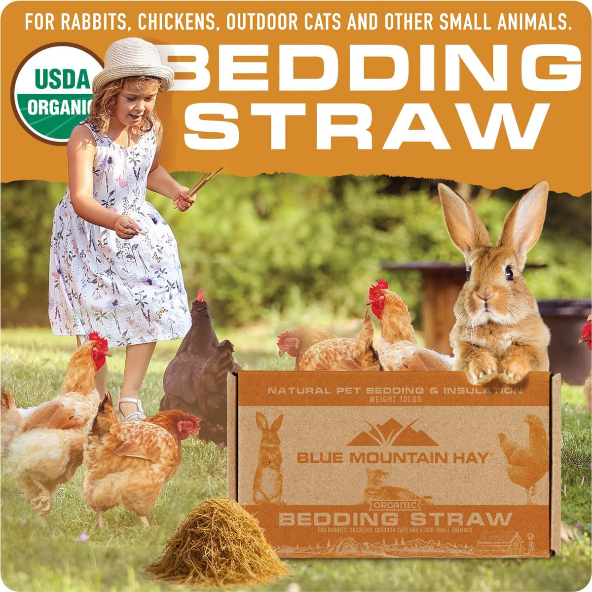 Blue Mountain Hay | Organic Bedding Straw (10 lb) | Natural Pet Bedding & Insulation for Rabbits