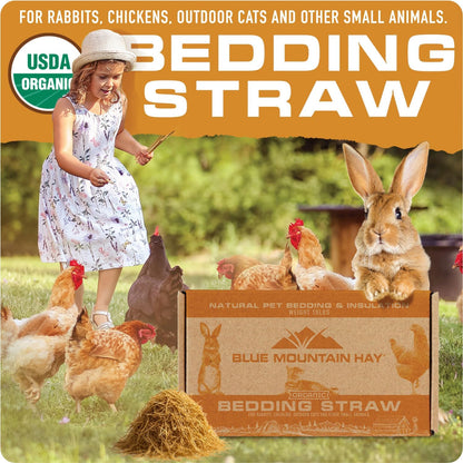 Blue Mountain Hay | Organic Bedding Straw (5 lb) | Natural Pet Bedding & Insulation for Rabbits