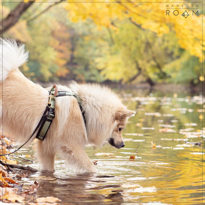 MADE TO ROAM Premium Explorer Harness - Y-Shaped Dog Harness with Adjustable Durable Nylon, Soft