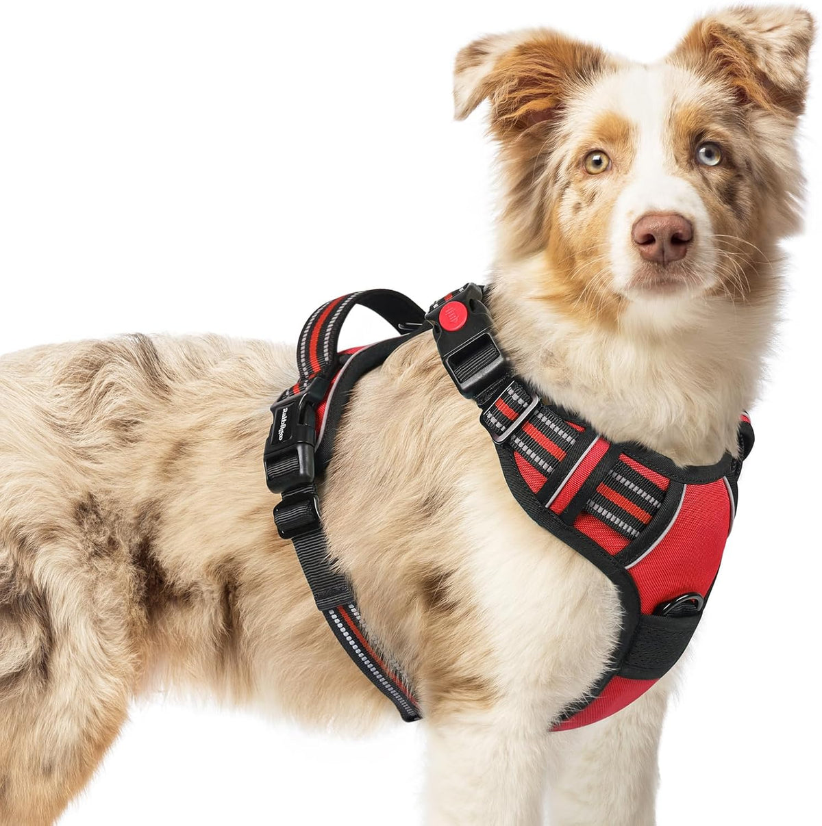 rabbitgoo Dog Harness Medium Sized, No Pull Pet Harness with 3 Buckles, Adjustable Soft Padded Vest
