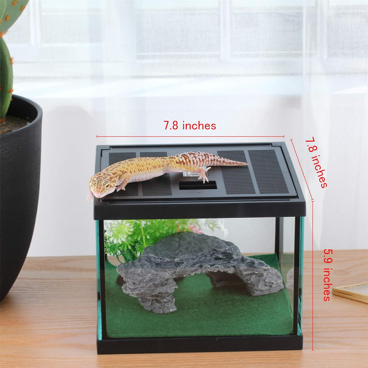 crapelles Glass Lizard Tank, Spider Box Kit, 7.8x7.8x5.9'' Tarantula Feeder Insects Beetle Habitat