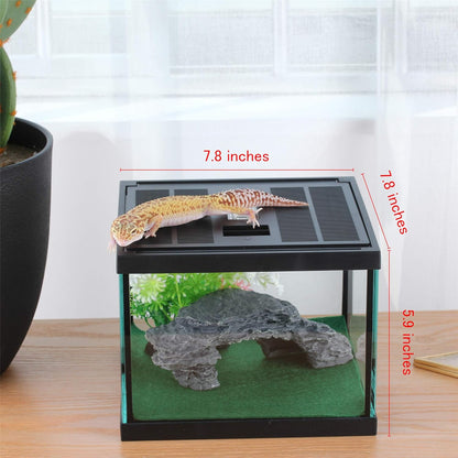 crapelles Glass Lizard Tank, Spider Box Kit, 7.8x7.8x5.9'' Tarantula Feeder Insects Beetle Habitat
