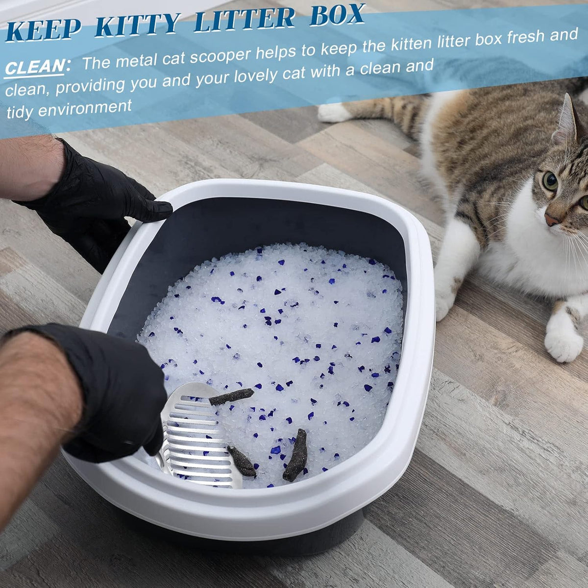 2 Pcs Cat Metal Litter Scoop Litter Scoop, Cat Accessories Scooper Stainless Steel Kitty Poop