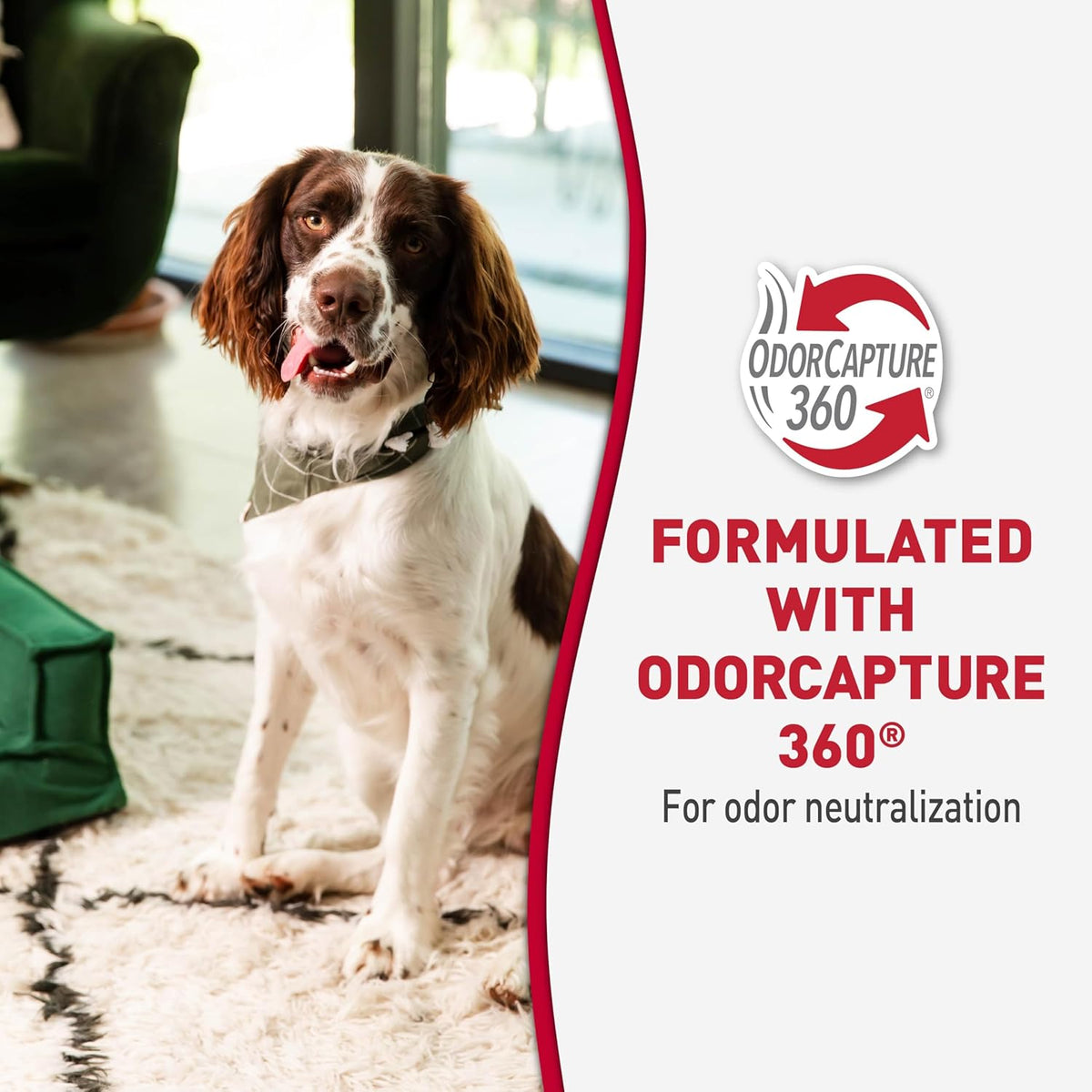 Nature’s Miracle Advanced Stain & Odor Eliminator For Dogs With Flip & Go Sprayer, 64 Ounces