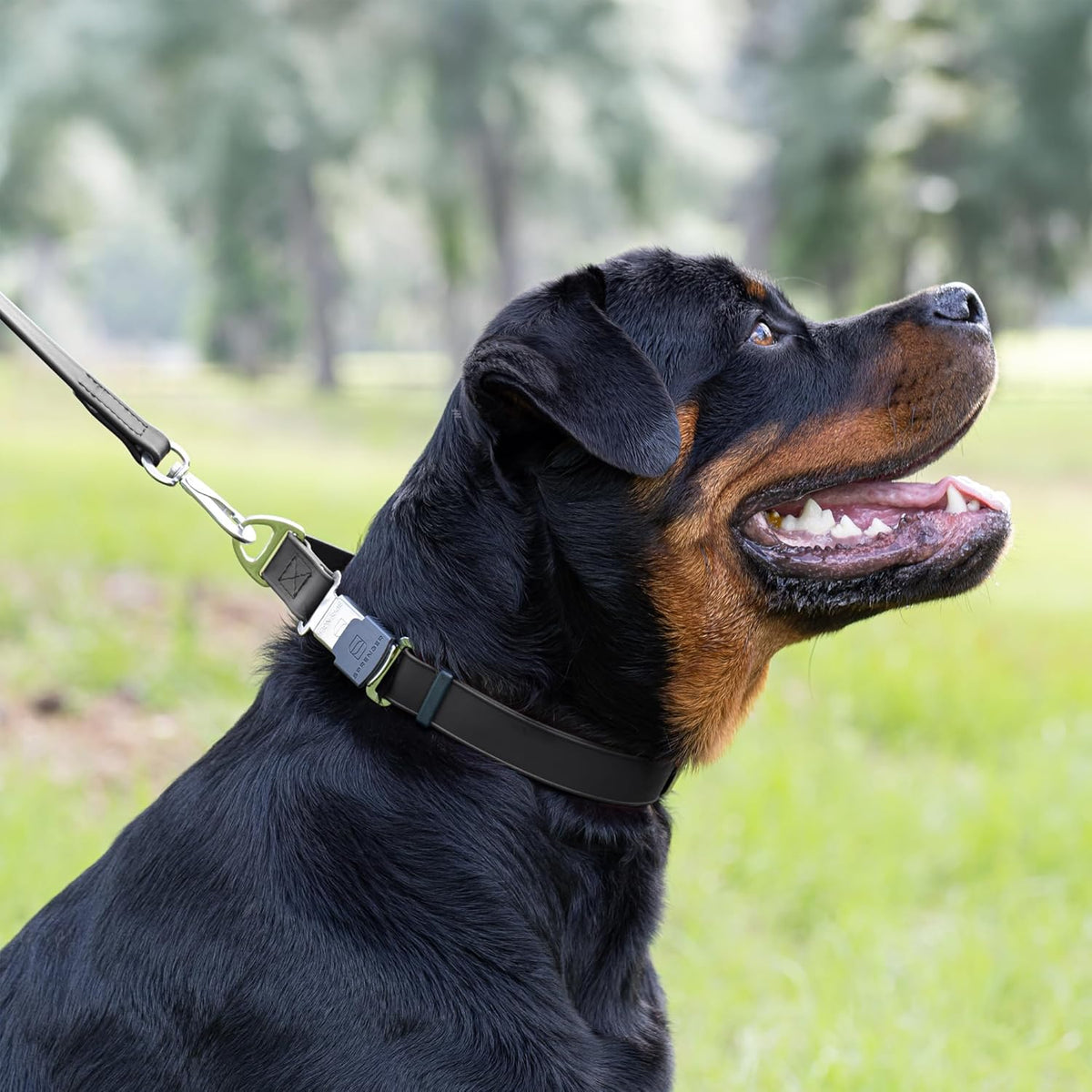 Dogline Biothane Waterproof Dog Collar with Herm Sprenger Stainless Steel Quick Release Buckle