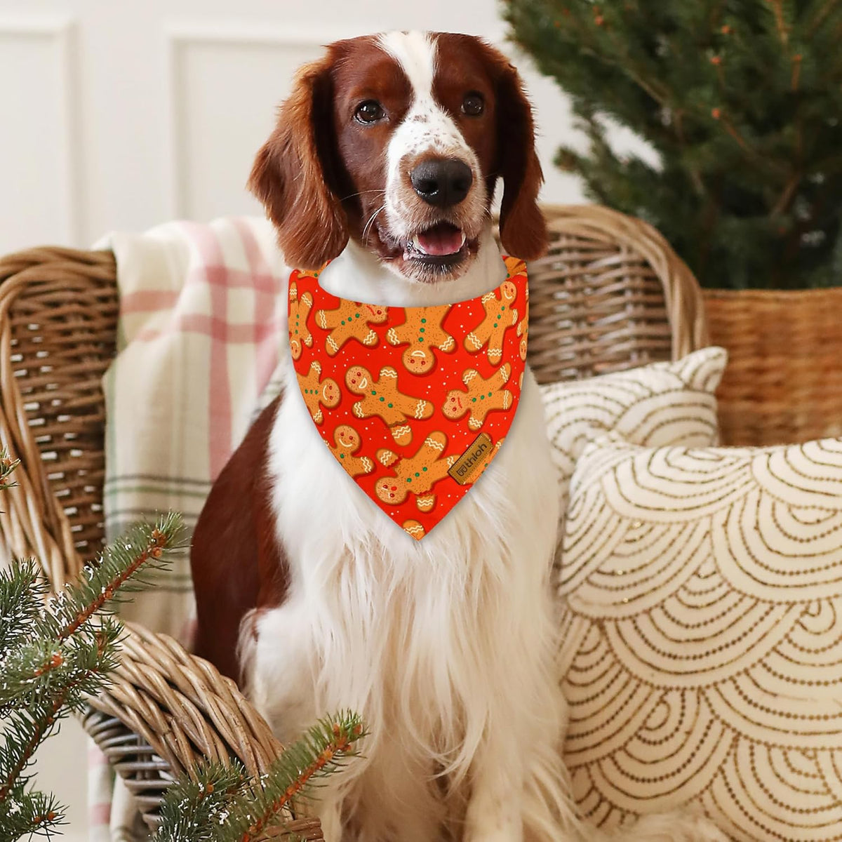 Christmas Dog Bandanas - 2 Pack Reversible Gingerbread Man Dog Scarf for Boy & Girl, Premium