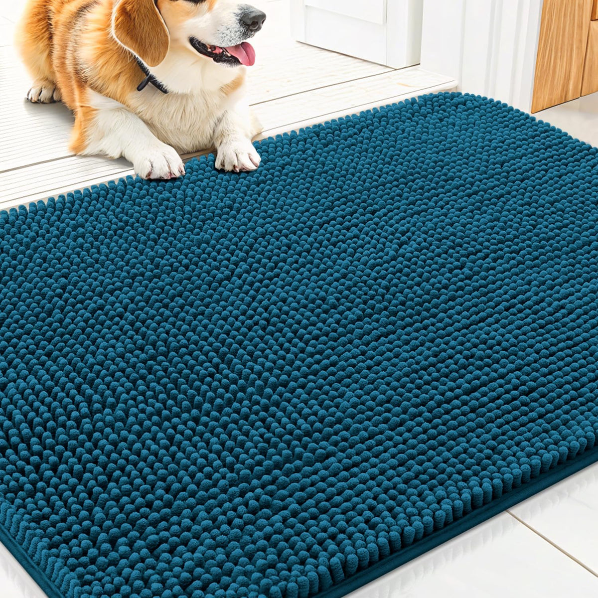 Smiry Dog Door Mat for Muddy Paws 30x20, Absorbs Moisture and Dirt Doormat, Non-Slip Washable Quick