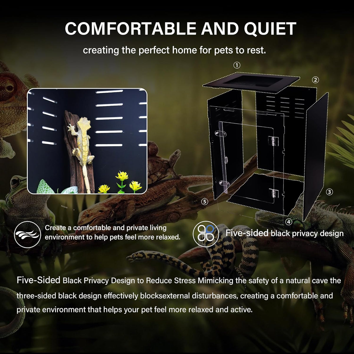 Reptile Enclosure for Crested Gecko – 12x12x18 Acrylic Reptile Tank for Gecko, Snake, and Lizard