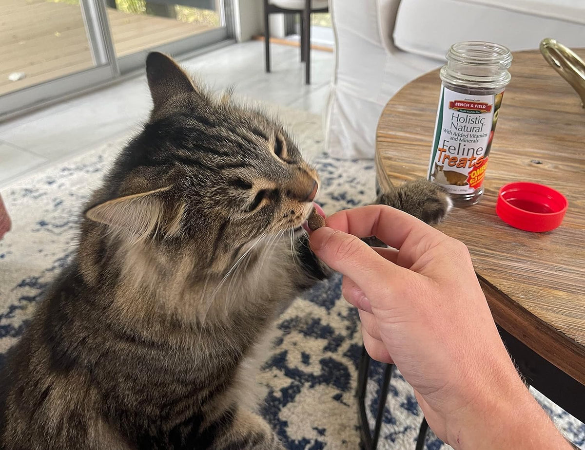Bench & Field Holistic Natural Healthy Kitty Cat Treats | Crunchy Fish-Shaped Bites | Delicious
