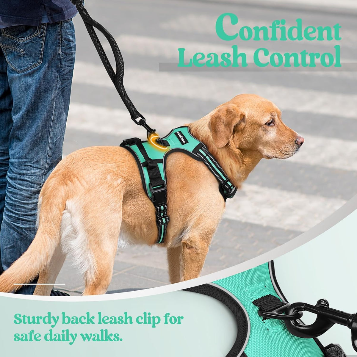 rabbitgoo Dog Harness No Pull with 2 Leash Clips, Adjustable Soft Padded, Reflective Oxford No