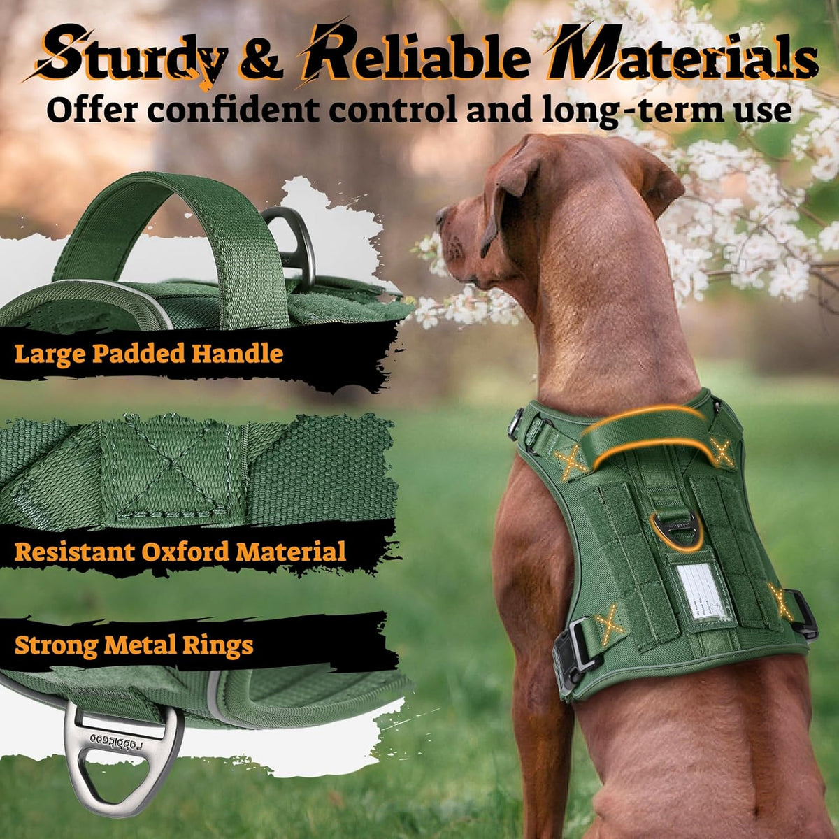 rabbitgoo Dog Harness Small Sized No Pull, Tactical Service Pet Vest with Molle and Control Handle