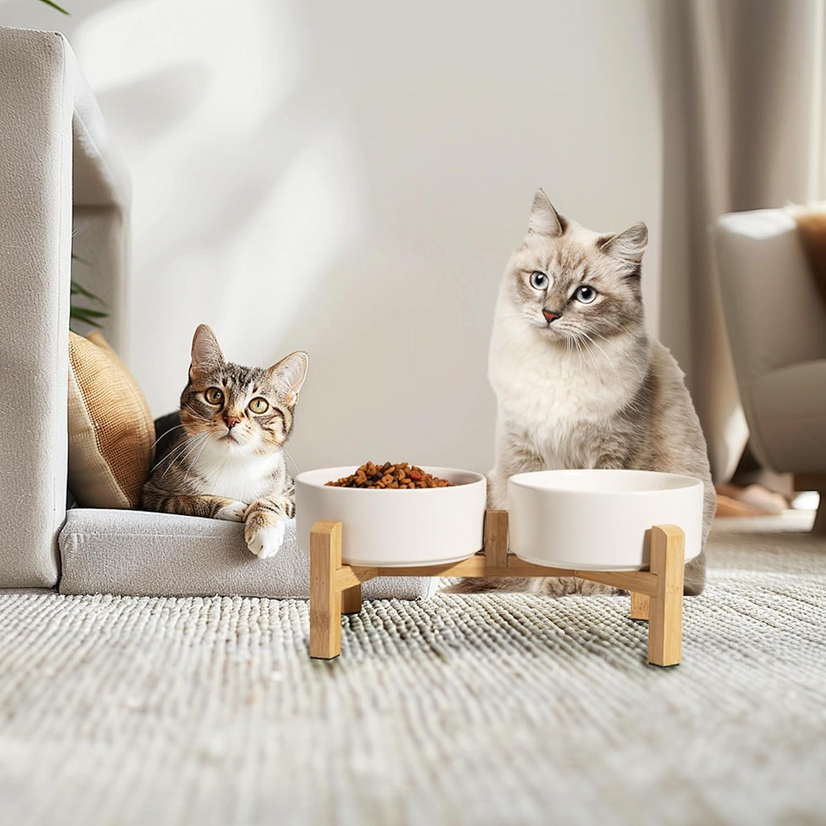Elevated Ceramic Dog Bowl Set - Raised Feeding Bowls with Non-Slip Bamboo Stand - Small Pet Dishes