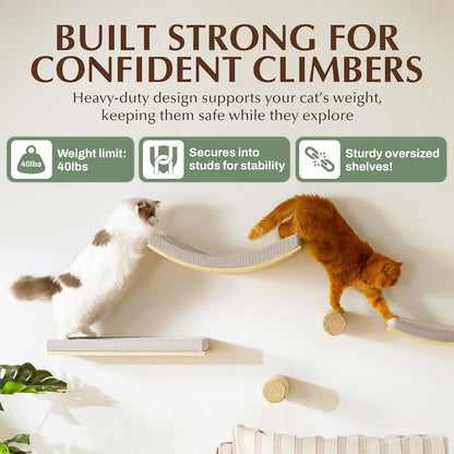 Extra Large 23.6”x12.6” CALLICO HAVEN- Stylish Cat Wall Shelves with Cushion, Modern Wall-Mounted