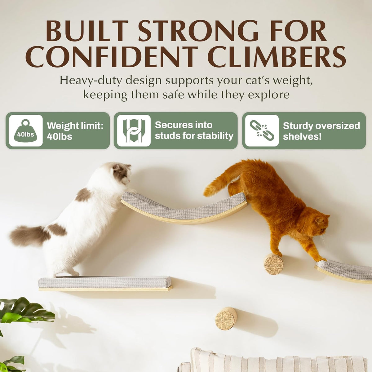 Extra Large 23.6”×14.6” CALLICO HAVEN- Stylish Cat Wall Shelves with Curved Design, Modern