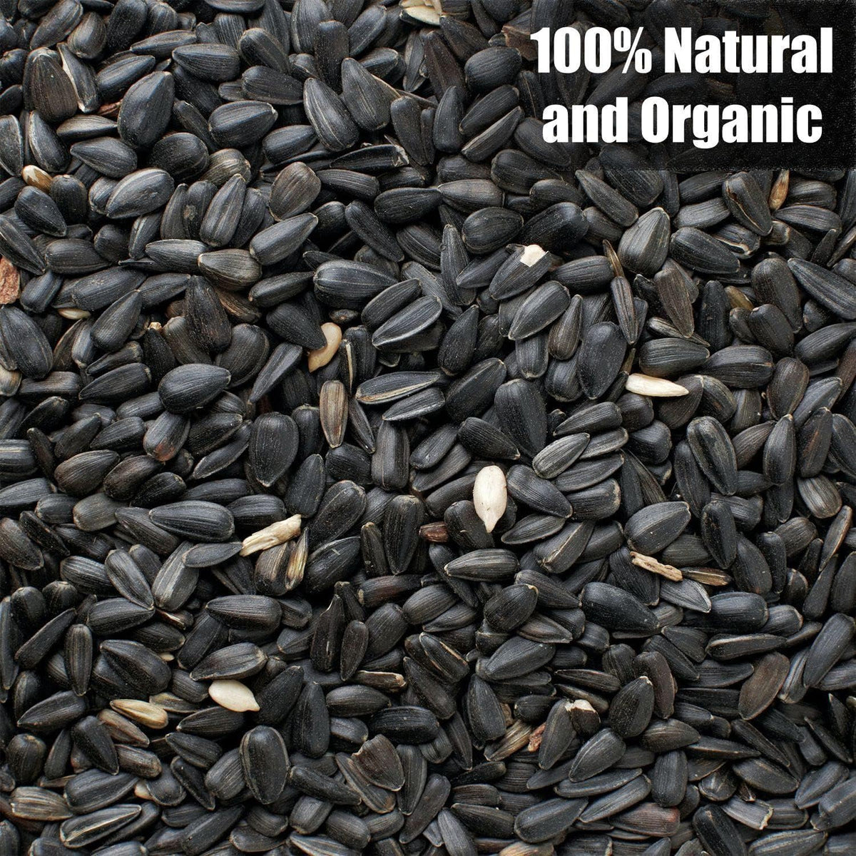 Wildlife Black Oil Sunflower Seeds for Birds and Wildlife, Non-GMO & USA Grown on Small Farms (25