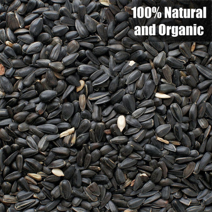 Wildlife Black Oil Sunflower Seeds for Birds and Wildlife, Non-GMO & USA Grown on Small Farms (25