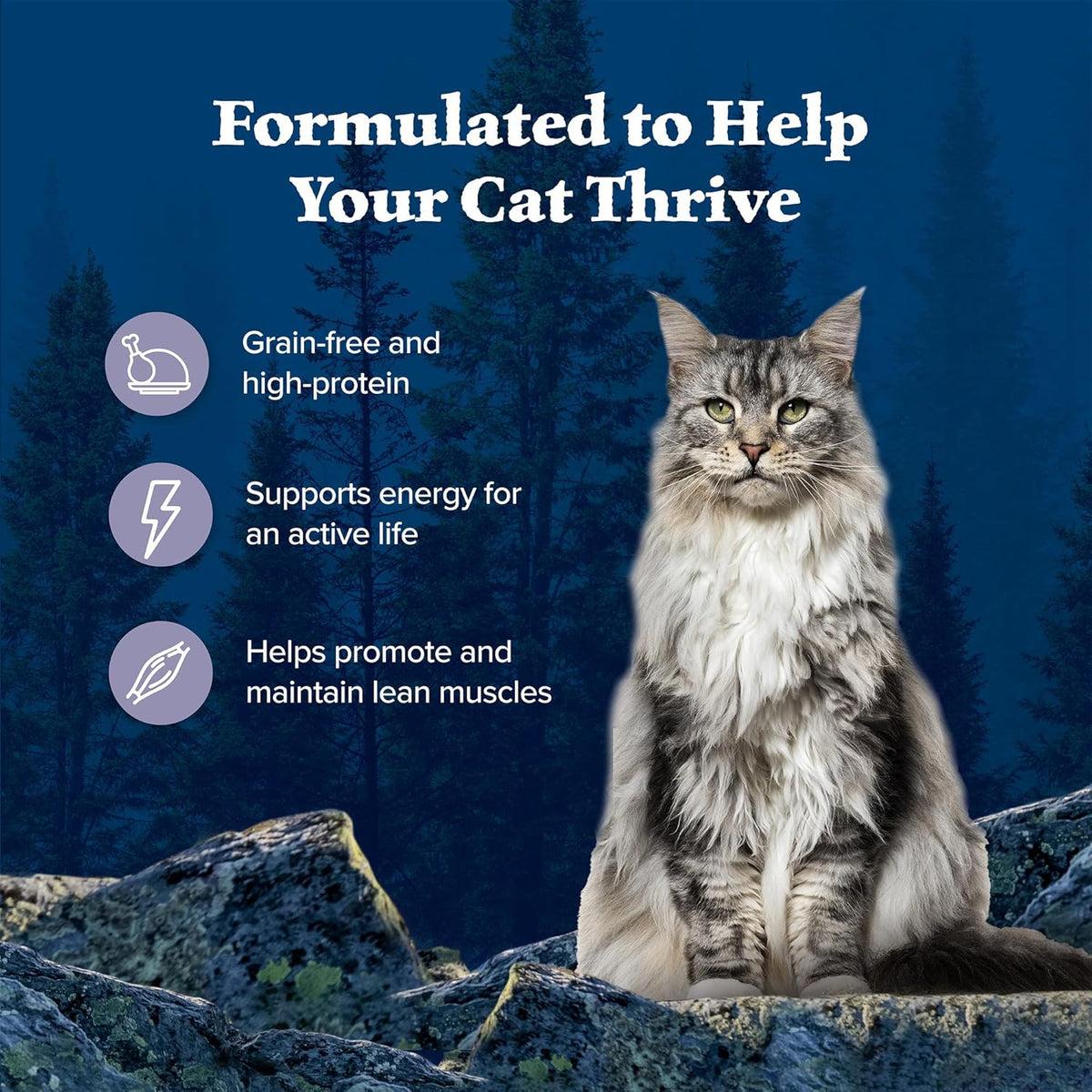 Blue Buffalo Wilderness Natural Wet Cat Food Paté, High-Protein & Grain-Free Recipe, Chicken