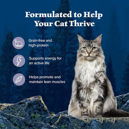 Blue Buffalo Wilderness Natural Wet Cat Food Paté, High-Protein & Grain-Free Recipe, Chicken