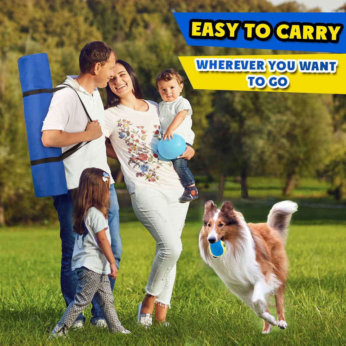 Dog Agility Course Backyard Set，Dog Agility Equipment, Dog Obstacle Course Backyard With 2-Set