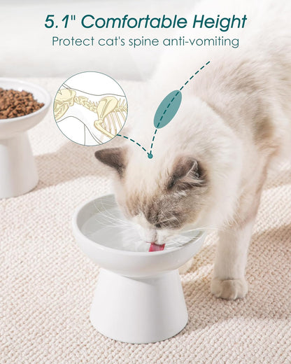 vancasso Ceramic Elevated Cat Bowls 2-Pack - 6.2" Extra Wide Raised Cat Food & Water Dishes, 5.1"