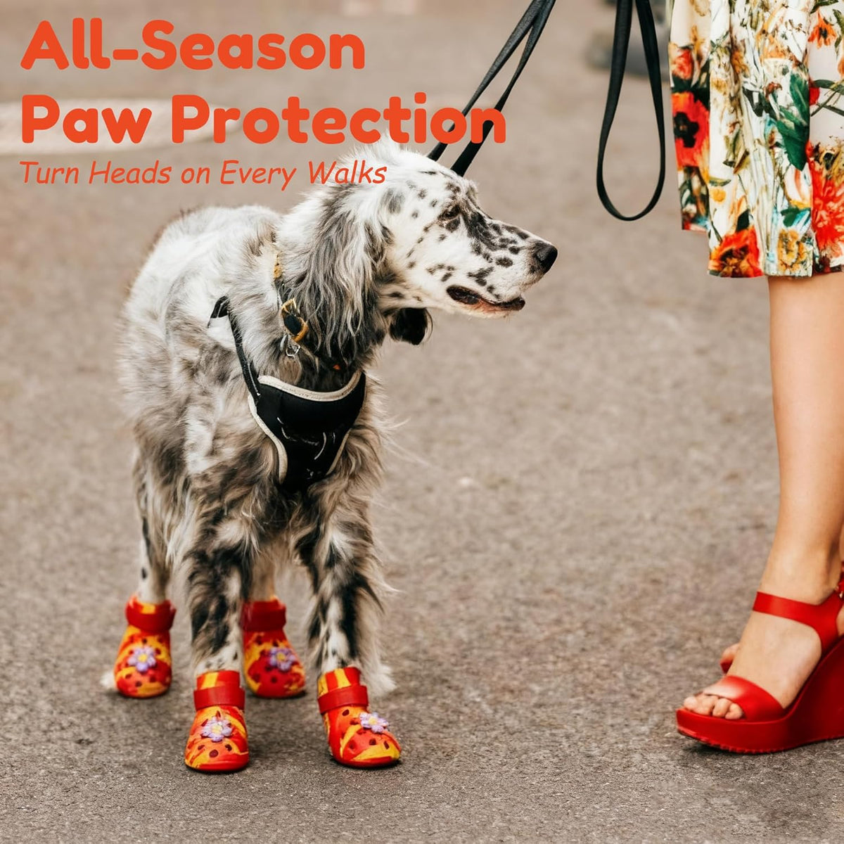 Dog Shoes for Hot Pavement and Snow, Silicone Dog Booties for Small Medium Large Dogs, Waterproof
