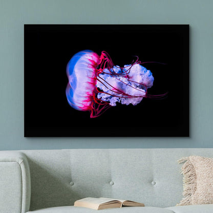 wall26 Canvas Print Wall Art Vibrant Purple Pink Jellyish Dark Ocean Nature Animals Photography