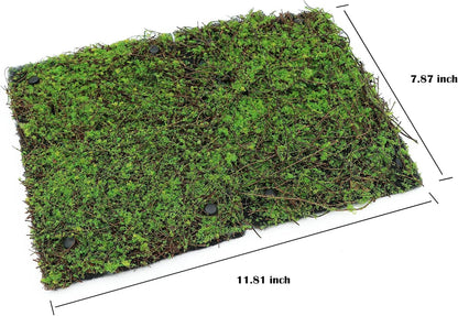 AQUA KT Terrarium Moss Background Backdrop Wall Artificial Reptile Amphibian Cage Decoration for