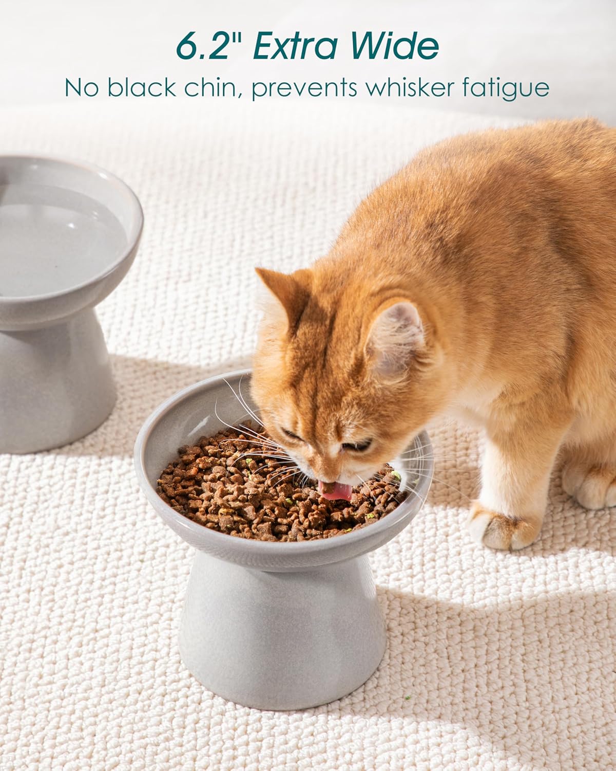 vancasso Ceramic Elevated Cat Bowls 2-Pack - 6.2" Extra Wide Raised Cat Food & Water Dishes, 5.1"