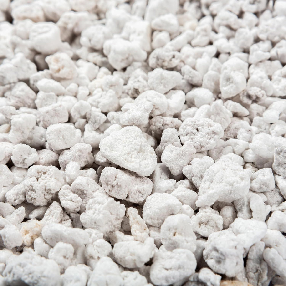 Perlite Bliss (24 Qts) - Organic Perlite for Plants - Coarse Perlite Bulk Soil Amendment - Chunky