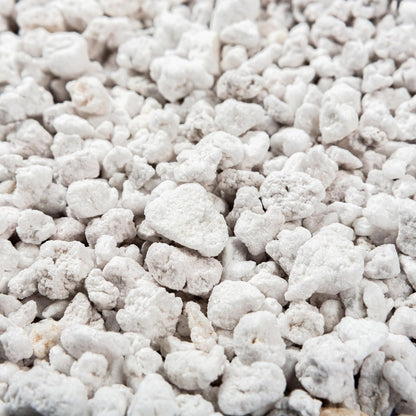 Perlite Bliss (24 Qts) - Organic Perlite for Plants - Coarse Perlite Bulk Soil Amendment - Chunky